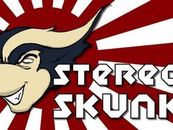 Image for Stereo SkUnk