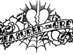 Image for Measured In Grey