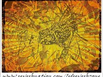 LSD