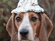 Doc Tucker & the Tin Foil Hat Coalition