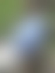 Dscn0233