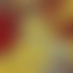 Inshot 20190310 143752765