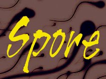Spore