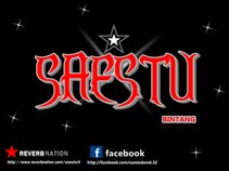 SAESTU