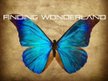 finding wonderland