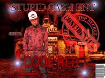 Stupid Cash Ent