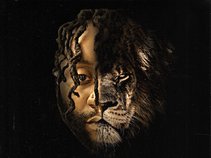 Los the LION