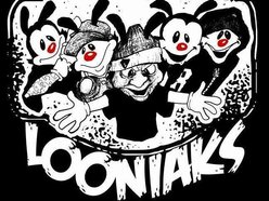 Image for Loony loon