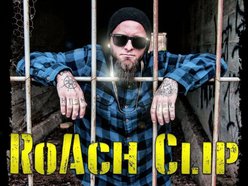 Image for RoAch Clip