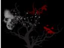 Silence Fades