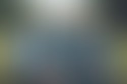 Love rescueband 3of193 logo