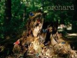ReverbNation profile picture for @orchard