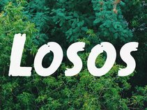 Losos