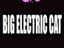 BIG ELECTRIC CAT