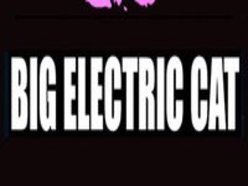 BIG ELECTRIC CAT