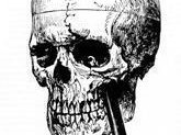 Phineas Gage Experiment (Paul Olstad Project)
