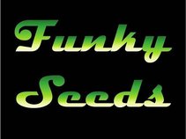 Funky Seeds