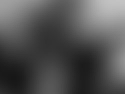 504fd44b 00cc 4328 b869 820d069efb4e 5170 0000032f0243c29f