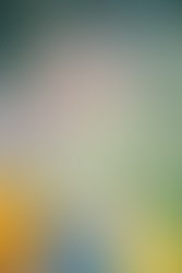 20170715 alexandra home 495