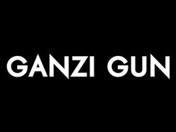 Image for Ganzi Gun