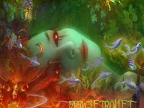 FRAGLETROLLET "Playground of Spirit" - SHAMANFILMS RECORDS