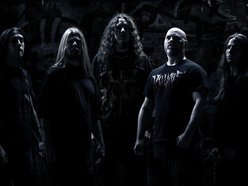Image for Insision