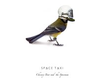 SPACE TAXI