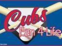 Chi Town Cubs