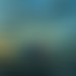 Artist 466542 1626984490