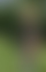 1435418419 fullsizerender