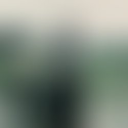 John steve old photo cannon