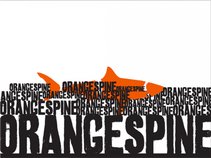 Orangespine