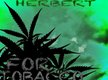 Herbert