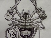 Crack Spyder's Bytch