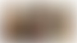 Project silence 2021