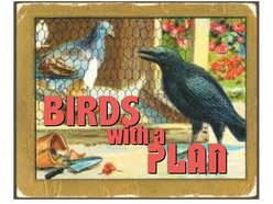 Birds With A Plan/Modern Folk Project
