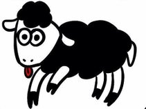The Black Sheep Press