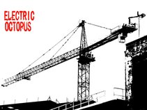 Electric Octopus