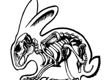 Rabbit Skin Glue