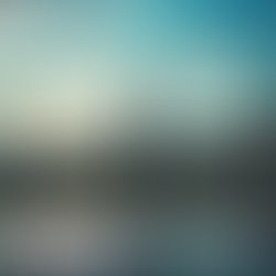 Eternally passion2021 800x800