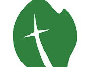 Live Oak Rooted Worship