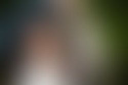 Dsc03333 1 