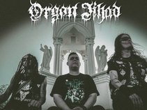Orgon Jihad
