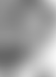 Scott headshot1 1246483183