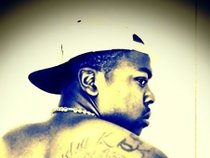 TM$M Maximillian