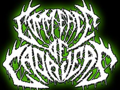 Image for Commerce Of Cadavers