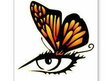 One Eye Butterfly