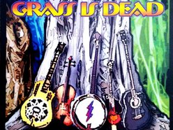 Image for The Grass is Dead