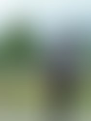 C923072f7b33b1e6eba3d6928ecacaf7e6100a75