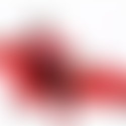 Img 20200125 082052 572